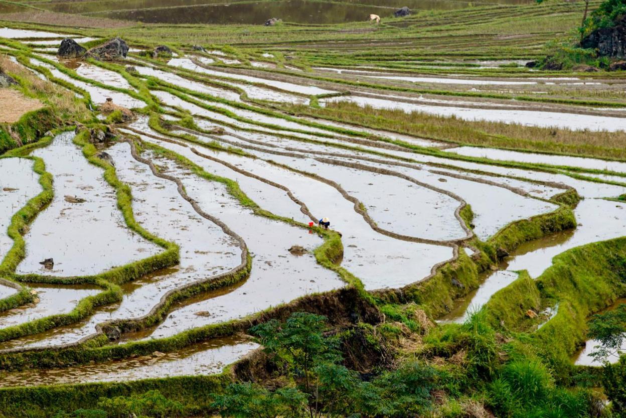Oh Pu Luong Homestay Huong Ba Thuoc المظهر الخارجي الصورة